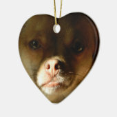Heart Ornament met een Chihuahua Pomeranian mix (Links)