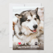 Heart & Paw Love & Joy Pet Kerstfoto Feestdagenkaart (Voorkant)