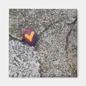 Heart Rock en Fossil Rock Magneet (Voorkant)