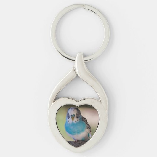 Heart Shape Sleutelhanger Paraket (Voorkant)