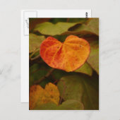 Heart Shaped Autumn Leaf Briefkaart (Voorkant / Achterkant)