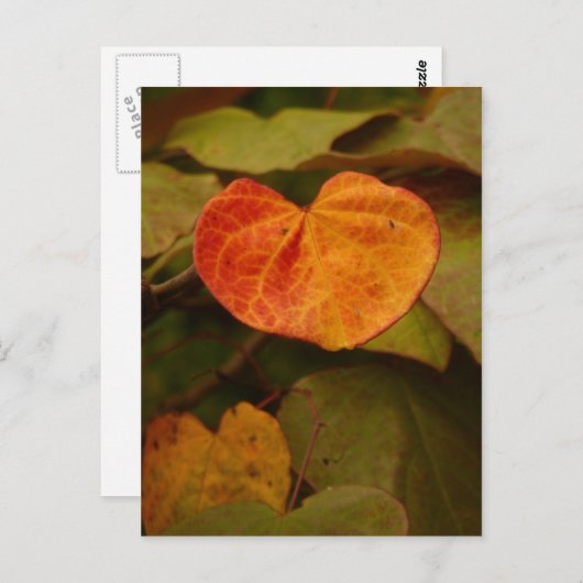 Heart Shaped Autumn Leaf Briefkaart (Voorkant / Achterkant)