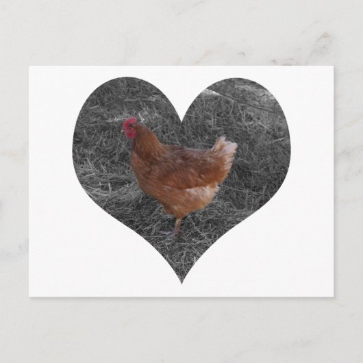 Heart Shaped Chicken Briefkaart (Voorkant)