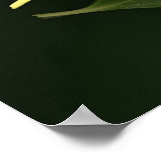 Heart Shaped Droplet op Leaf Poster (Hoek)