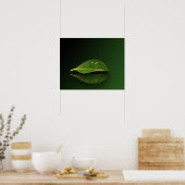 Heart Shaped Droplet op Leaf Poster (Keuken)