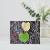 Heart Shaped Leaves Briefkaart (Staand voorkant)