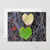 Heart Shaped Leaves Briefkaart (Voorkant / Achterkant)