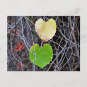 Heart Shaped Leaves Briefkaart (Voorkant)