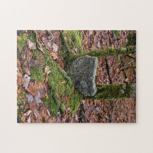 Heart-Shaped Rock Legpuzzel (Horizontaal)