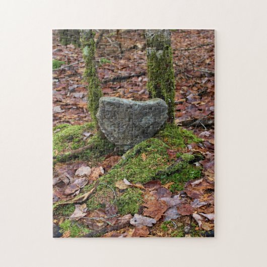 Heart-Shaped Rock Legpuzzel (Verticaal)