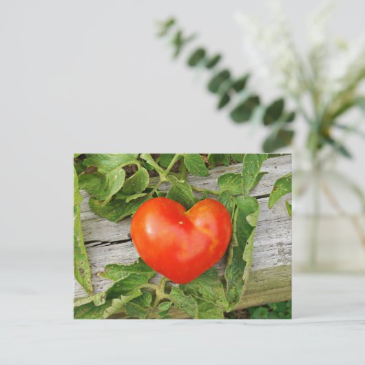 Heart Shaped Tomato Briefkaart (Staand voorkant)