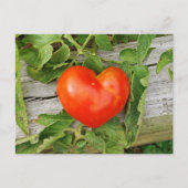 Heart Shaped Tomato Briefkaart (Voorkant)