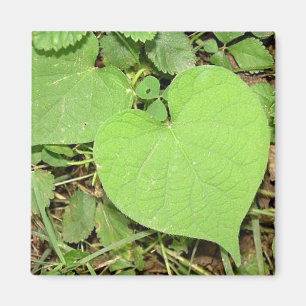 Heart Shaped Vine Magnet