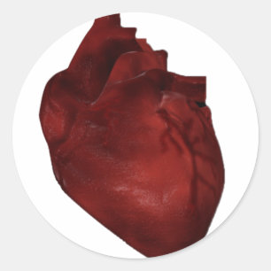 Heart Sticker