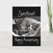 Heart Sweeat Jubileum Cat Animal Kaart (Voorkant)