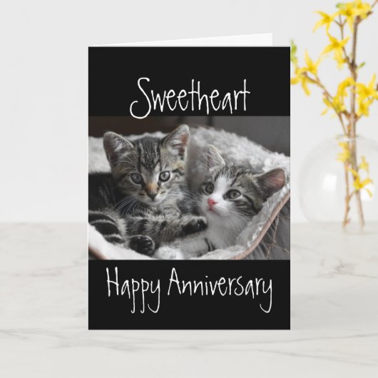 Heart Sweeat Jubileum Cat Animal Kaart (Gele Bloem)