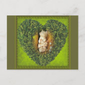 Heart with cats briefkaart (Voorkant)