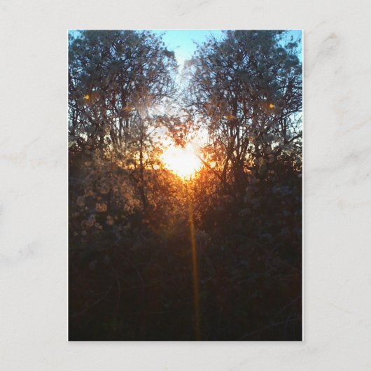 Heartbeamdec2010 Briefkaart (Voorkant)