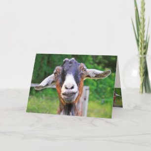 Heartfelt Funny Goat Birthday Kaart