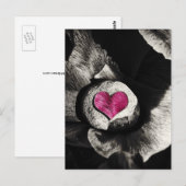 Hearth of Stone & Peony Flower Briefkaart (Voorkant / Achterkant)