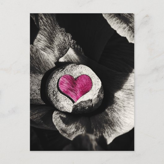 Hearth of Stone & Peony Flower Briefkaart (Voorkant)