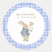 Hearthlight Notes Lente Zachte Weide Gingham Ronde Sticker (Voorkant)