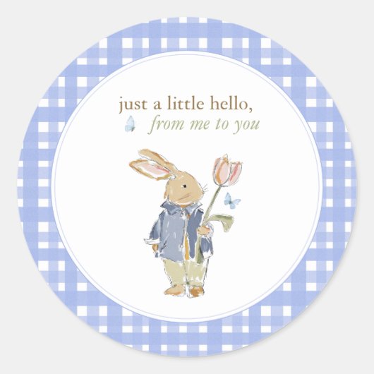 Hearthlight Notes Lente Zachte Weide Gingham Ronde Sticker (Voorkant)