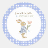Hearthlight Notes Lente Zachte Weide Gingham Ronde Sticker (Voorkant)