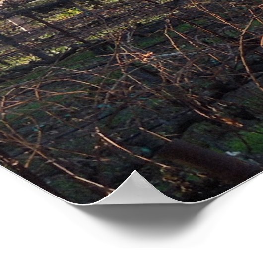 Hearthstone Vineyard in Paso Robles, CA Poster (Hoek)