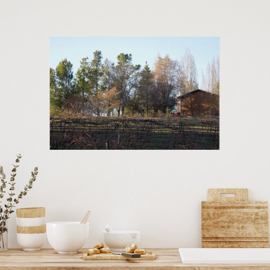 Hearthstone Vineyard in Paso Robles, CA Poster (Keuken)