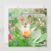 Heart's Delight Kaufmanniana Tulip Uitnodiging (Voorkant)