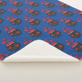 Hearts Love Potion Sherpa Deken (3/4)