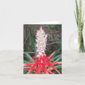 Hearts Of Flame Bromeliad Photo Folded Note Card Notitiekaartje (Voorkant)