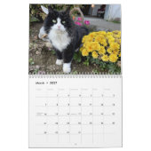 Heartsong Equestrian Wall Calendar 2023 Kalender (Mar 2027)