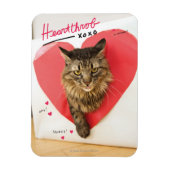 Heartthrob Cat Magneet (Verticaal)