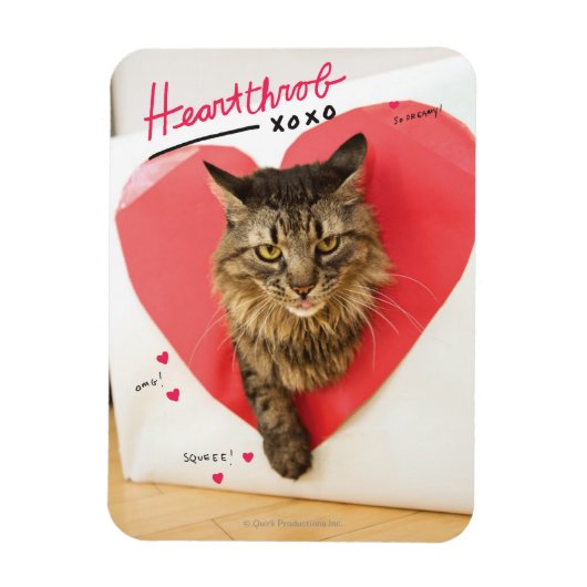 Heartthrob Cat Magneet (Verticaal)