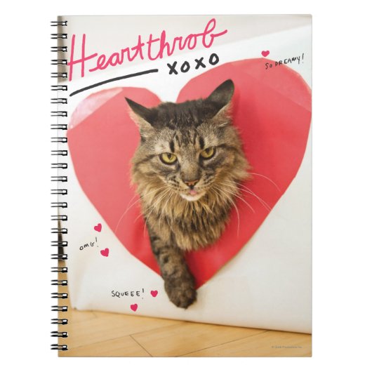Heartthrob Cat Notitieboek (Voorkant)