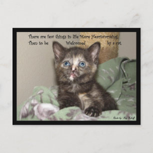 Heartwarming Briefkaart