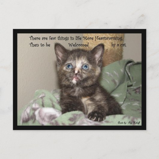 Heartwarming Briefkaart (Voorkant)