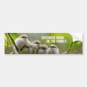 Heartwarming Cute Bushtits Songbird Family Foto Bumpersticker