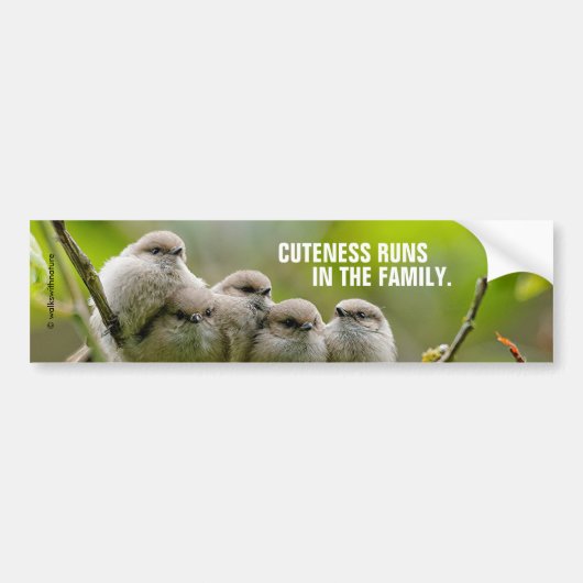 Heartwarming Cute Bushtits Songbird Family Foto Bumpersticker (Voorkant)