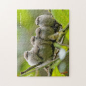 Heartwarming Cute Bushtits Songbird Family Foto Legpuzzel (Verticaal)