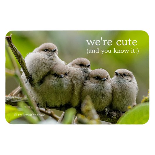 Heartwarming Cute Bushtits Songbird Family Foto Magneet (Horizontaal)