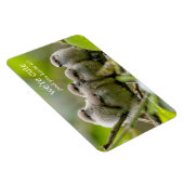 Heartwarming Cute Bushtits Songbird Family Foto Magneet (Rechterzijde)