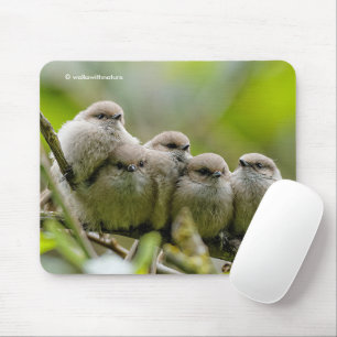 Heartwarming Cute Bushtits Songbird Family Foto Muismat