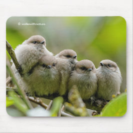 Heartwarming Cute Bushtits Songbird Family Foto Muismat