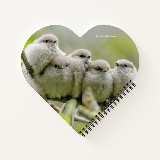 Heartwarming Cute Bushtits Songbird Family Foto Notitieboek (Achterkant)