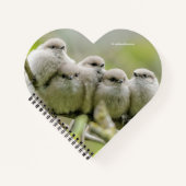 Heartwarming Cute Bushtits Songbird Family Foto Notitieboek (Voorkant)