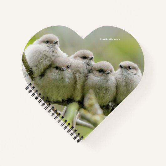 Heartwarming Cute Bushtits Songbird Family Foto Notitieboek (Voorkant)