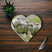 Heartwarming Cute Bushtits Songbird Family Foto Notitieboek